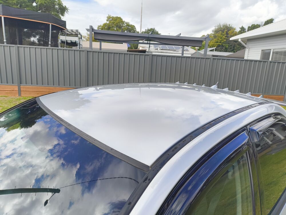 Roof overhead — clear coat condition visible
